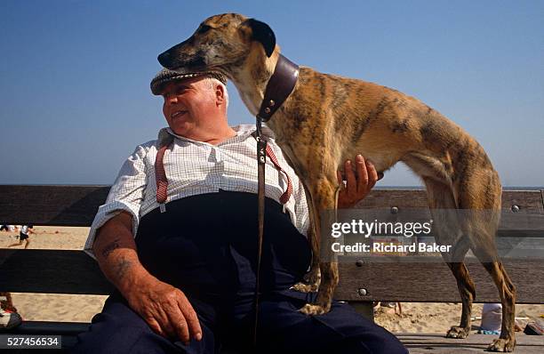 Rather rotund man wearing a flat cap, a checked shirt under braces that keep his ample trousers up above his fat tummy, affectionately tickled his...