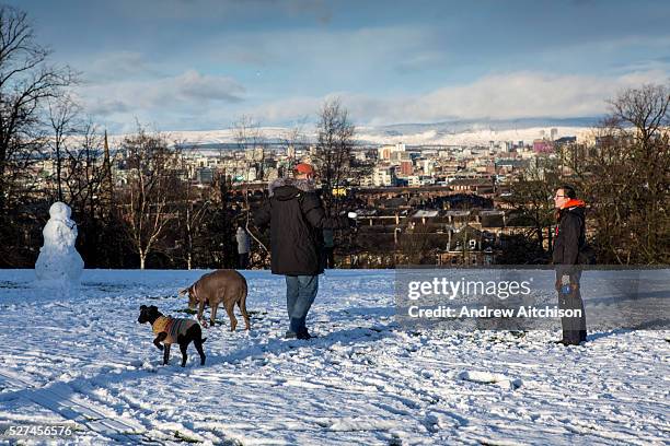 Man and woman walk their dogs in the snow, Queens Park, Glasgow. The park is known for its view across the south side of Glasgow, with a snow covered...