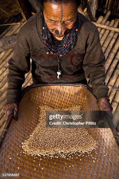 Apatani tribal elder Atta Yadd dries and sifts recently threshed rice in her village of Hijja, Arunachal Pradesh. The Apatani tribe are one of...