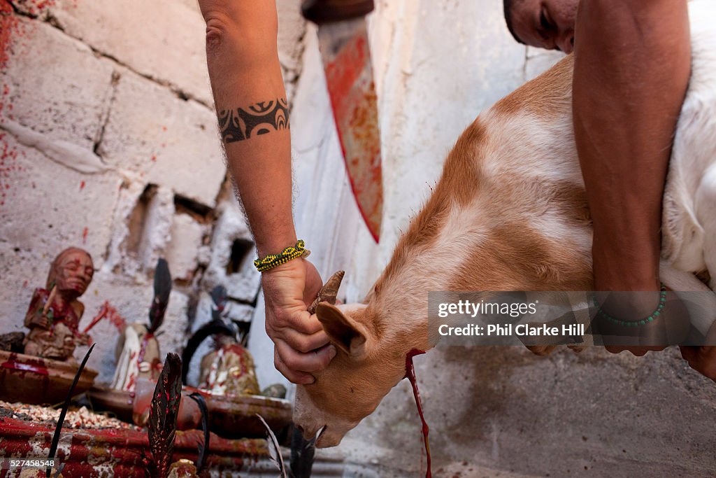 Animal sacrifice is an integral part of the rituals. Santeros believe...  Photo d'actualité - Getty Images