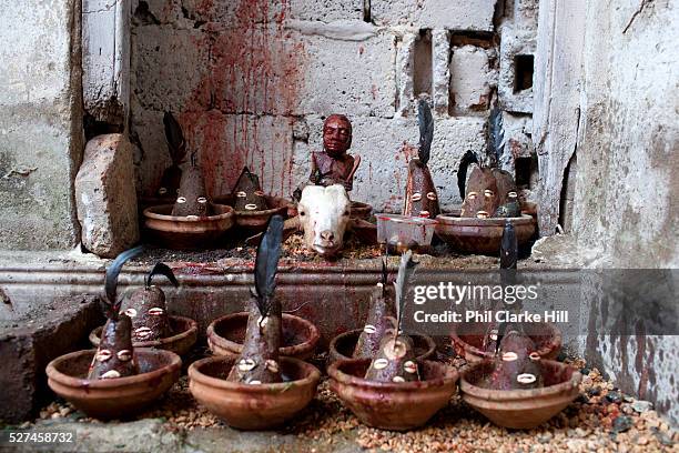 Each of the clay statues is an 'Ellegua'. Adherents of the practice first have to receive Ellegua, and he is the Orisha that is always summonded...