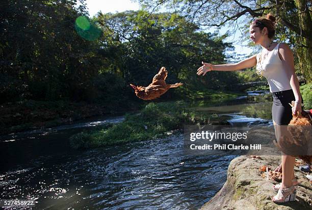 Bosque Almendares in Havana is an important place for Santeria ceremonies where ahderents make offerings to the Orishas. Santeria is a syncretic...