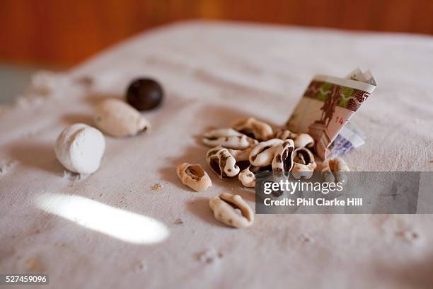 Babalawo reading a fortune with money cowry shells. Santeria is a syncretic religion practiced in Cuba, it is a mixture of Yoruba tribal practices...