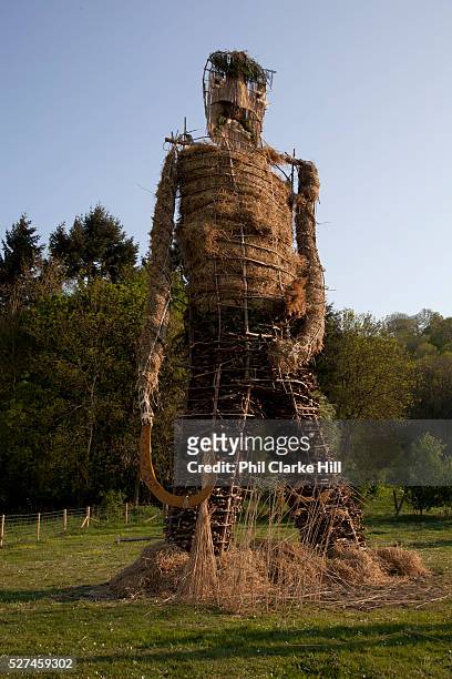 Large straw wickerman ready for burning. The annual Beltane celebrations at Butser ancient farm, Hampshire, marking the beginning of the British...