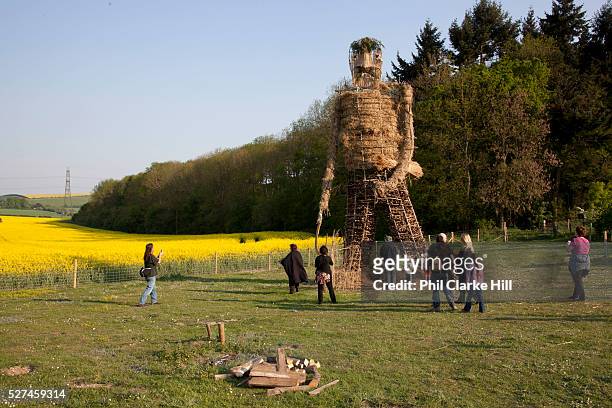 Large straw wickerman ready for burning. The annual Beltane celebrations at Butser ancient farm, Hampshire, marking the beginning of the British...