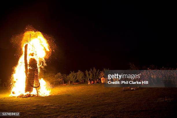 Large straw wickerman burning, on fire as crowd and families watch The annual Beltane celebrations at Butser ancient farm, Hampshire, marking the...