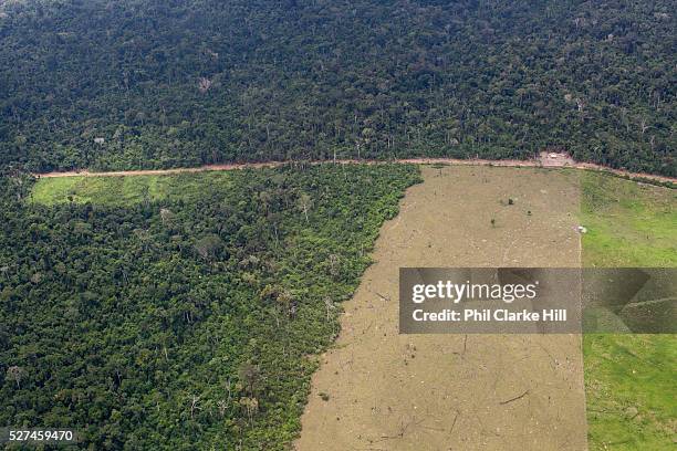 Greenpeace Brazil use a light aircraft to investigate deforestation from logging and the Belo Monte Hydroelectric dam, Altamira, Para, Brazil.