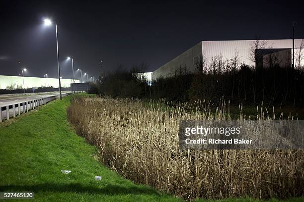 Alongside the A5 highway, an industrial landscape is illuminated in light from roadside street-lighting. Reeds are in the foreground in front of a...