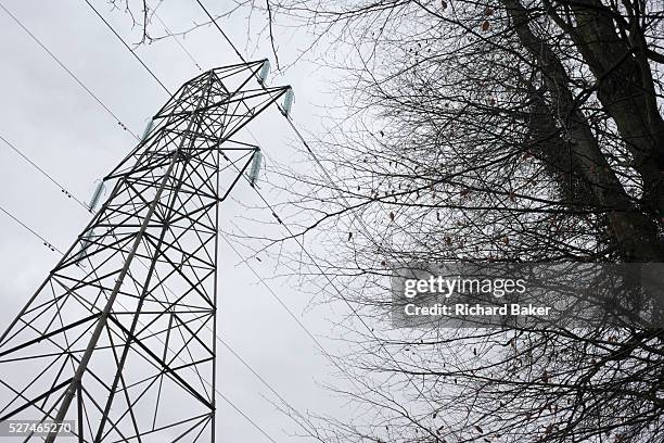 The outline of electricity cables stretch across a gloomy winter sky in woodland near Wrington, North Somerset England. Diagonally, the cables travel...