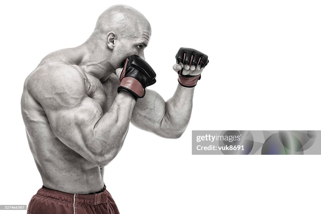 Ultimate fighter