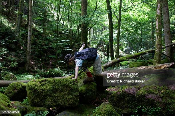 Wearing a peaked cap and small rucksack, a young adventurer, clambers over rocks in the ancient forest of Monbachtal Bach in Germany's Black Forest....