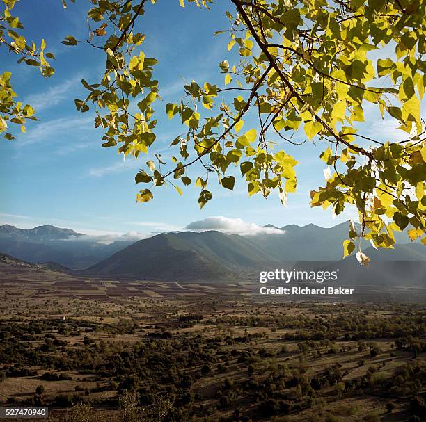 In afternoon sunshine, autumn leaves and far away mountains with light cloud on their peaks are viewed from across a clear valley landscape, seen...