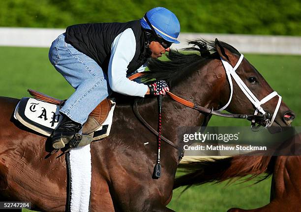 Coin Silver, ridden by Angel Cordero, on track during morning workouts May 2, 2005 in preparation for the 131st Kentucky Derby at Churchill Downs in...