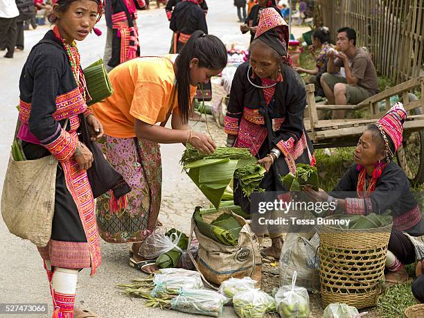 Ko Pala ethnic minority women walk several kilometres from their villages to sell their home grown products to local people at Pak Nam Noi market,...