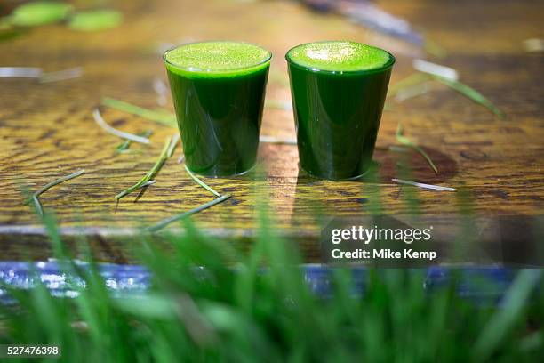 Wheatgrass for sale at Borough Market. Wheatgrass is a food prepared from the cotyledons of the common wheat plant, Triticum aestivum. Like most...