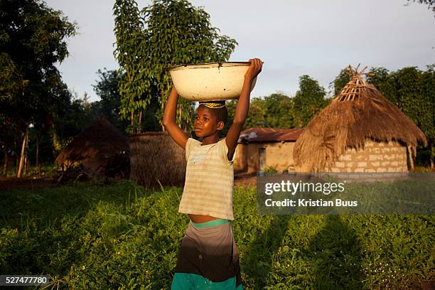 Young girl carries a load of vegetables in a bowl on her head in the vening light in rural Makurdi in Benue state. My QandA is mobile phone text...