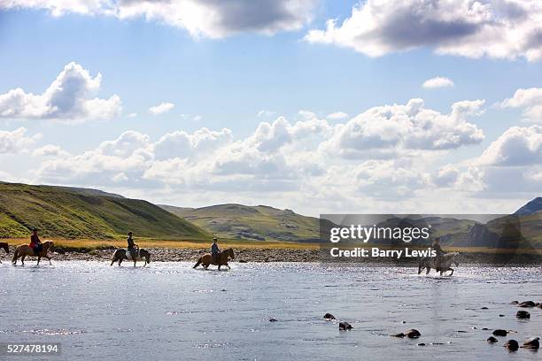 Horse riding in southern Iceland. Riding through the farmlands of Hrunamannahreppur. Crossing the Stora-Laxa river. | Location: Hrunamannahreppur,...