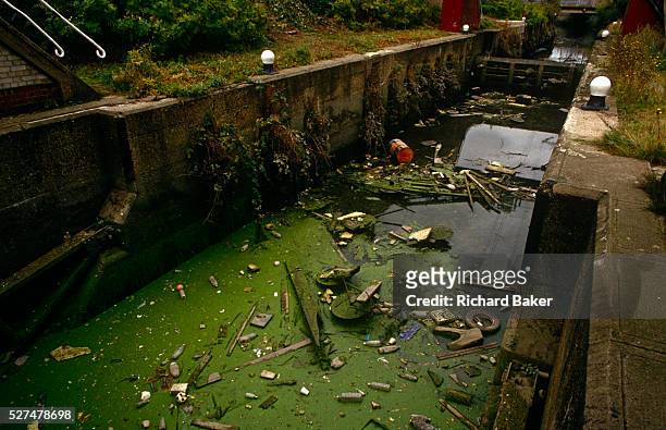 Rubbish and litter blocks the waterways of a canal in Stratford, east London. Algae and household pollution lies on the surface of the waters dug by...