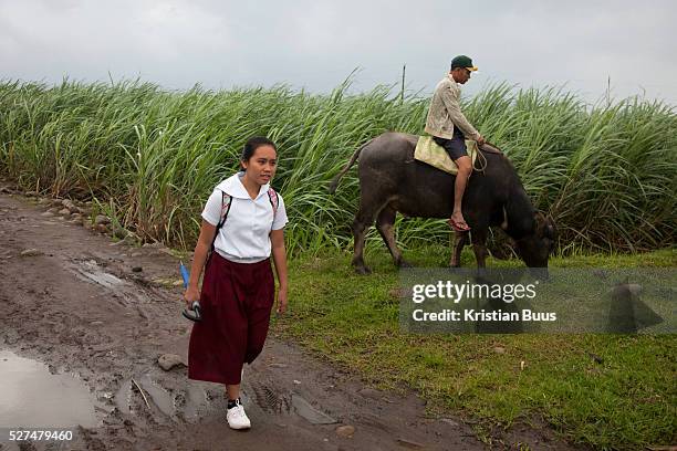 Jenibell on her way to school. She had to take several years out of education to work in the sugar cane field and to assist her mother at home...