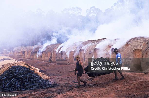 Charcoal burning on ranch, Matto Grosso do Sul, Brazil | Location: Matto Grosso do Sul, Brazil.