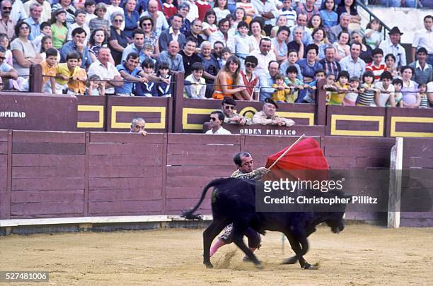 Dwarf bullfighter Guillermo Gomez takes on a bull steer in ring. He is part of a troupe of dwarfs whom travel around Spain with a mission to...