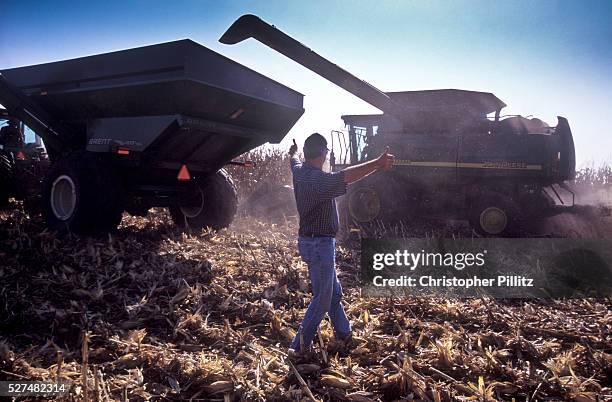676 Corn Belt Stock Photos High Res Pictures and Images Getty Images 676 Corn Belt Stock Photos High Res Pictures and Images Getty Images