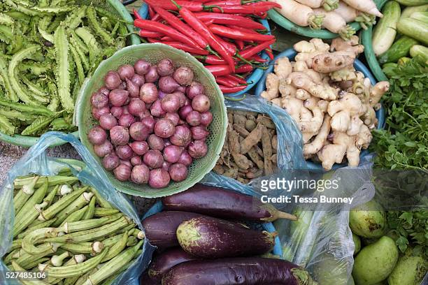 Fresh fruit and vegetables including red onions, mangoes; aubergines, ginger, okra, tamarind and red chillies for sale at the Old Market in Phnom...