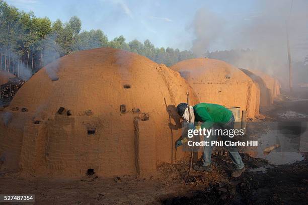 Brazilian man working in a charcoal buring site, Maranhao, northeastern Brazil, eucalyptus trees are grown primarily to fire the burners situated on...