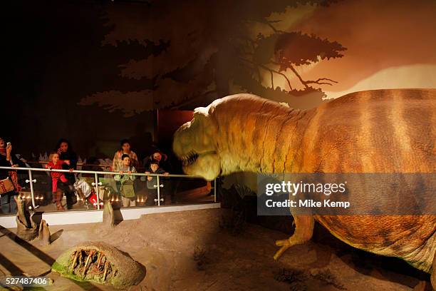 The Natural History Museum, London. Visitors in the Dinosaur gallery watch a T-Rex animatronics model.