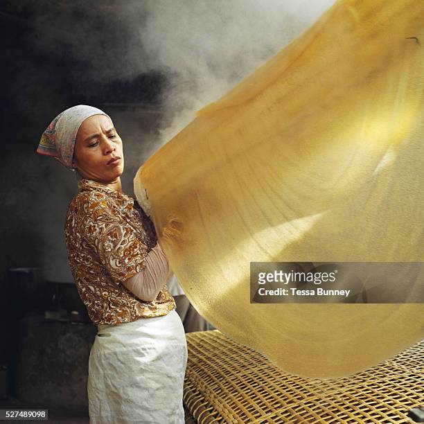 Woman making 'Mien' canna flour noodles in Huu Tu village, Hanoi, Vietnam. With Vietnam's growing population making less land available for farmers...