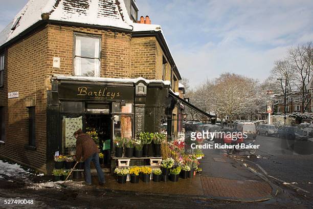 An employee of Bartleys the florist business in Dulwich Village, south London, brushes melting pavement snow. Buckets of assorted blooms are on sale...