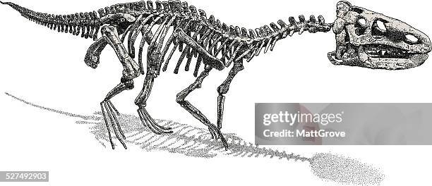 stockillustraties, clipart, cartoons en iconen met dinosaur skeleton - dinosaur skeleton