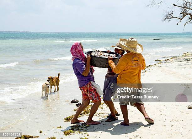 Fisherman's wives carry the freshly caught fish back to Tamiao village, Bantayan Island, The Philippines. On November 6 2013 Typhoon Haiyan hit the...