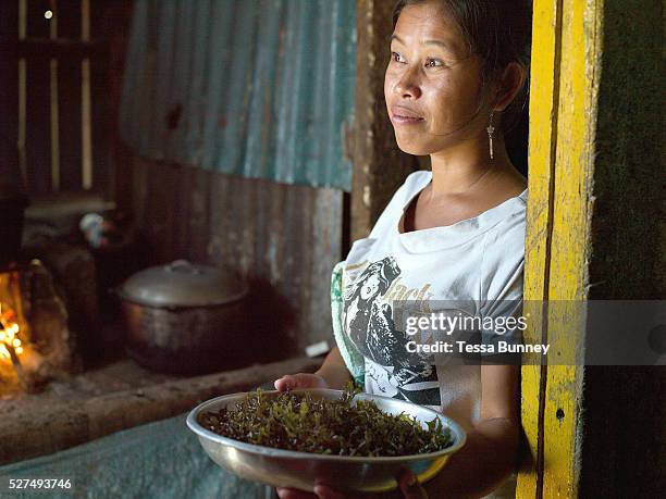 Seaweed farmer, Marissa Gegante holding a bowl of freshly cooked seaweed, Tamiao, Bantayan Island, The Philippines. Before Typhoon Haiyan, Bantayan...