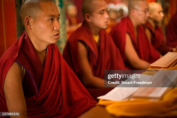 Buddhost Chanting Buddhist Chanting Photos and Premium High Res Pictures - Getty Images