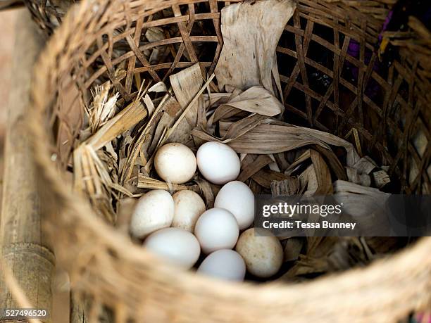 Bamboo basket of chicken's eggs in the Laoseng village of Ban Sopkang, Phongsaly province, Lao PDR. The remote and roadless village of Ban Sopkang is...