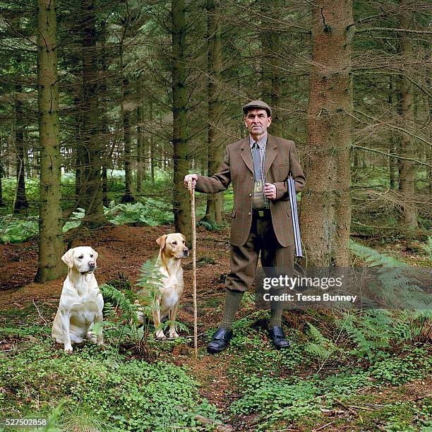 Portrait of gamekeeper Ronnie Grigor and his dogs Jasper and Max in Moor Road Wood, Fala estate, Midlothian, Scotland. Fala estate supplies game such...