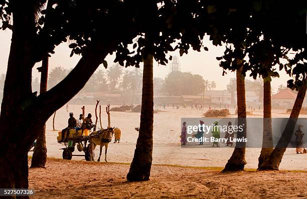 Women cleaning the village of Dionewar situated on a desert island in the mouth of the river Saloum