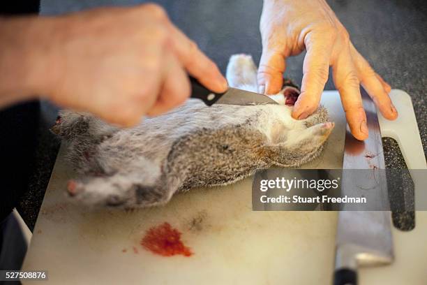 Fergus Drennan , known as 'Fergus the Forager' preparing a road-kill squirrel to eat at home in Chartham, Kent, UK