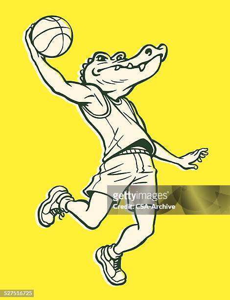 alligator-jumping mit basketball - alligator stock-grafiken, -clipart, -cartoons und -symbole