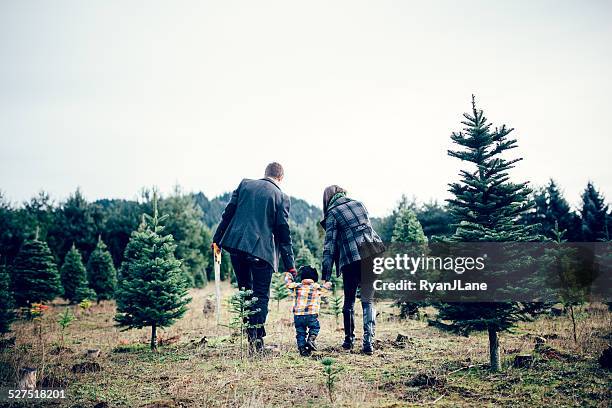 christmas tree family at tree farm - christmas tree farm stock pictures, royalty-free photos & images