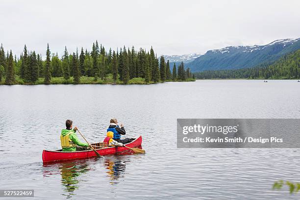 family in red canoe on byers lake with green tree covered shoreline and mountain foothills in the background, denali state park - family red canoe stock pictures, royalty-free photos & images
