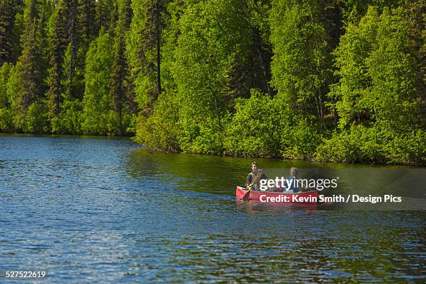 a couple and young girl in a red canoe on byers lake with green forested shoreline in byers lake campground, denali state park - family red canoe stock pictures, royalty-free photos & images