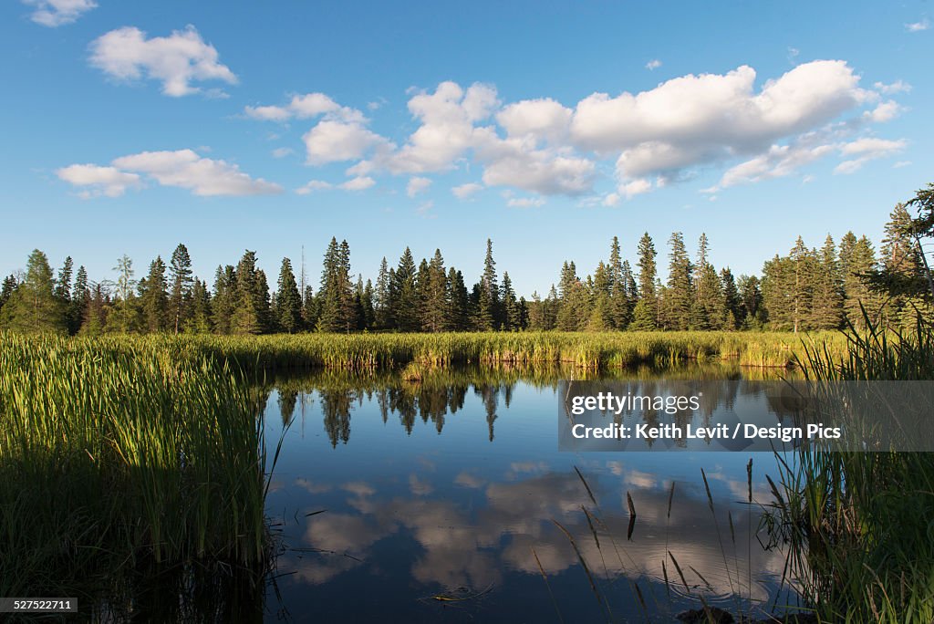 Trees long the shoreline and clouds reflected in the water of Lake Audy in Riding Mountain National Park