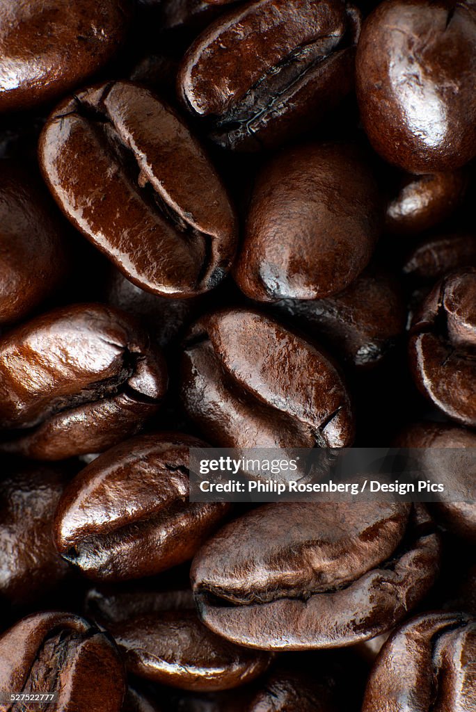 Medium dark roast Kona coffee beans close up