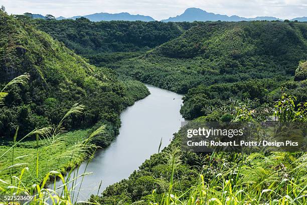 Hawaii Rivers Wailua River Photos and Premium High Res Pictures - Getty Images