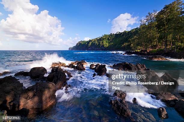 lapahoehoe shoreline, hamakua coast - laupahoehoe stock pictures, royalty-free photos & images