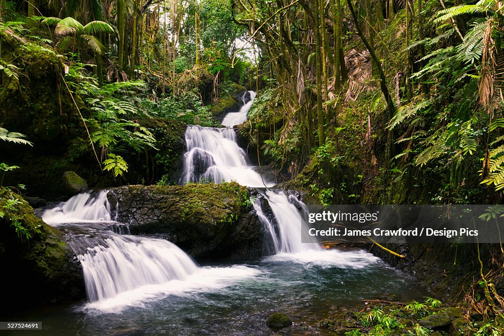 Onomea Falls