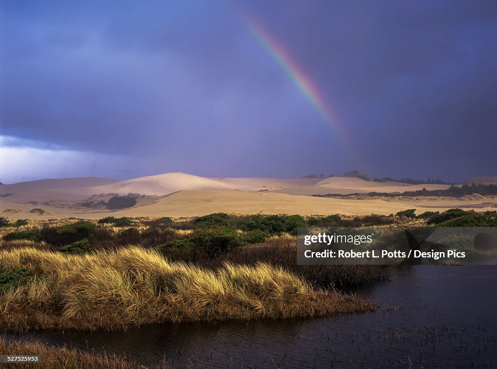 A rainbow over the Umpqua Dunes, Oregon Dunes National Recreation Area