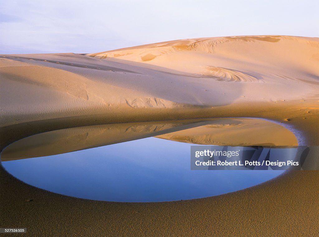 An ephemeral pond mirrors the Umpqua Dunes, Oregon Dunes National Recreation Area